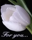 for you