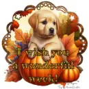 Happy week