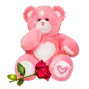 pink teddy bear