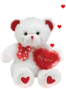 be mine teddy bear