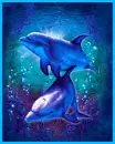 dolphins