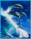 dolphins