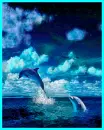 dolphins