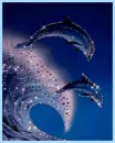 dolphins