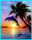 dolphin