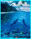 dolphins