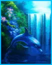 dolphin