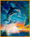 dolphins