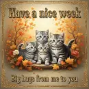 Have a nice week