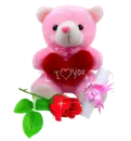 i love you bear