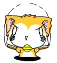 cat jumping the rope