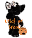 trick or treat cat