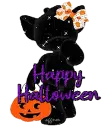 happy halloween cat
