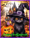 witch cat