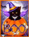 boo