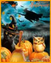 happy halloween
