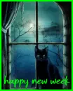 happy new week