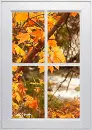 autumn leaves