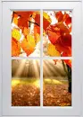 autumn leaves