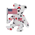 USA bear