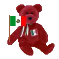 Mexico bear