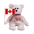 Maple the bear