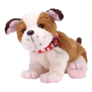 Huggins the bulldog