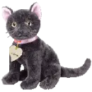 Arlene the cat