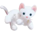Flip the cat