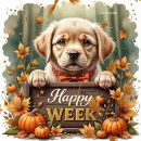Happy week