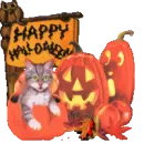 happy halloween