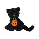black cat