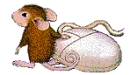 mouse