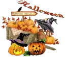 halloween pumpkin patch