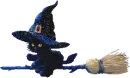 cat riding broom