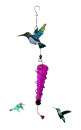 hummingbirds