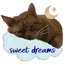sweet dreams