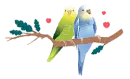 parakeets