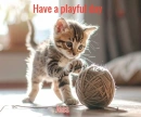Playful Day