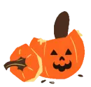 squirrel in a pumpkin