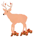 deer