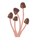 mushrooms