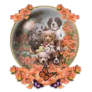 puppies snow globe