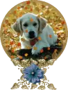 autumn puppy snow globe