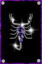 scorpion