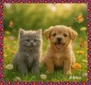 Kitten & Puppy