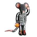 rat skeleton