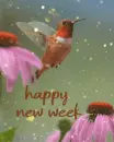 happy new week