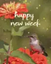 happy new week