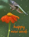 happy new week